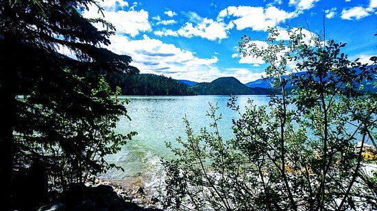 Blue River Black Spruce Provincial Park